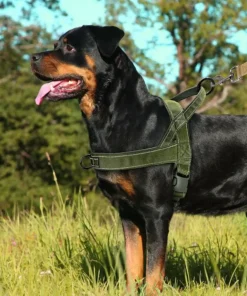 Појас за кучиња (најлон)